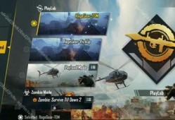 国际服的最新爆料,神秘新英雄即将登场，游戏格局将迎巨变！