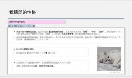 财通最新爆料,最新爆料背后的惊人真相