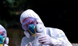 美国最新病毒爆料,揭秘新型病毒变异与传播现状