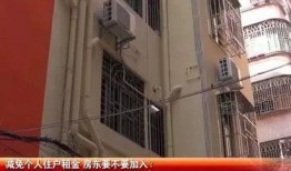 深圳房东爆料最新消息,最新租房市场动态揭秘