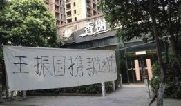 石家庄天苑爆料案件最新,揭秘背后惊人真相