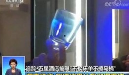 中央新闻记者爆料视频最新,最新爆料视频揭秘惊人真相！”